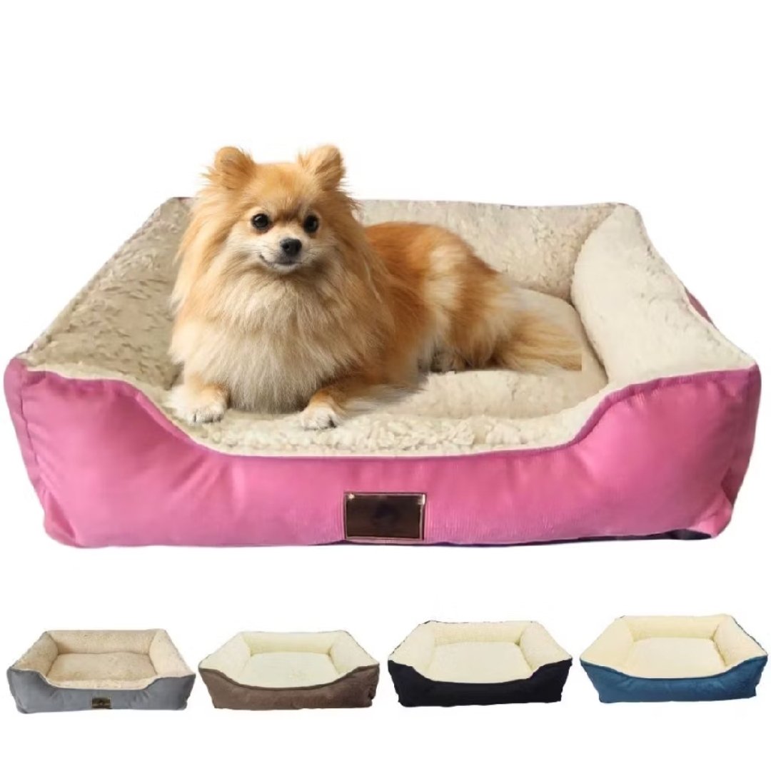 loja pet cães e gatos caminha sherpa luxo