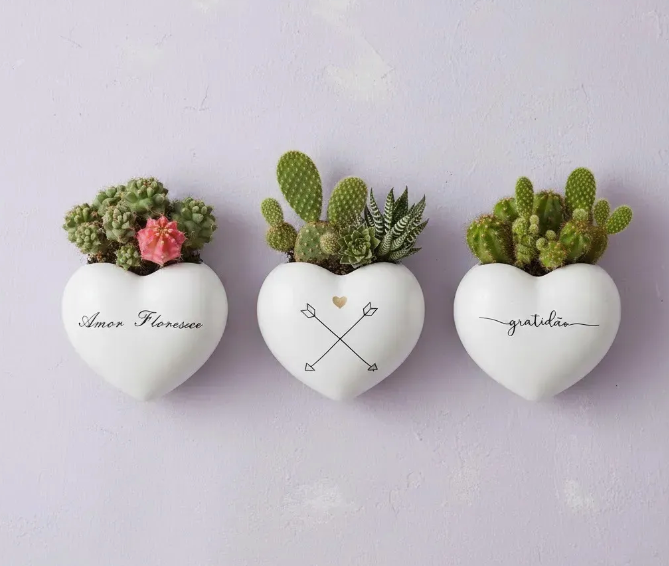 Mini Vaso Cachepô Parede Decorativo Suculenta Planta