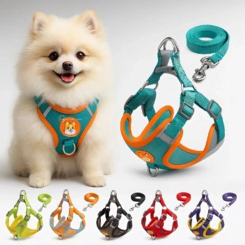 loja pet cães e gatos coleira peitoral kit guia colete