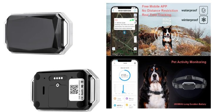 loja pet para cães coleira rastreador gps 4g localização