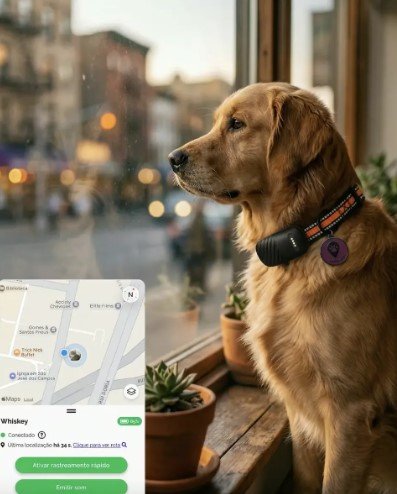 loja pet cães e gatos coleira rastreadora gps localização