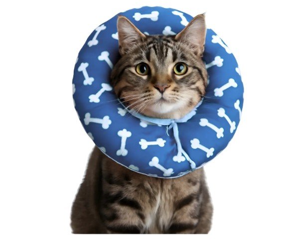 loja pet cães e gatos cone colar elizabetano ajustável macio
