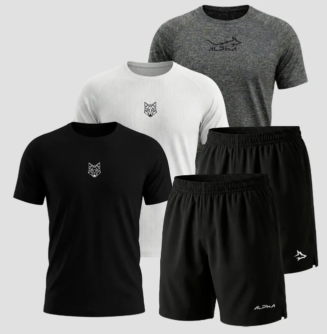 Kit 5 Peças Dry Fit 3 Camisetas 2 Bermudas Alpha academia masculino